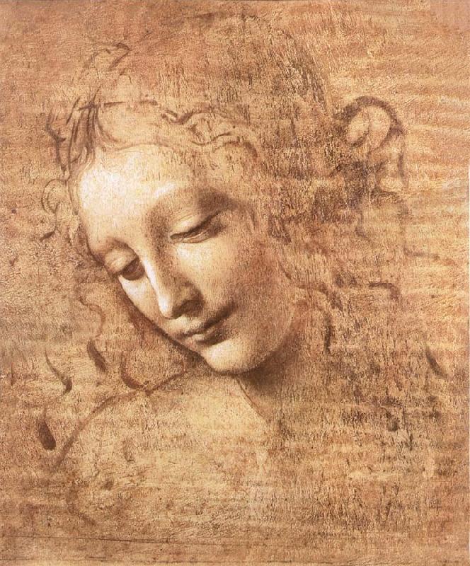 LEONARDO da Vinci Madchenkopf with confused hair oil painting picture